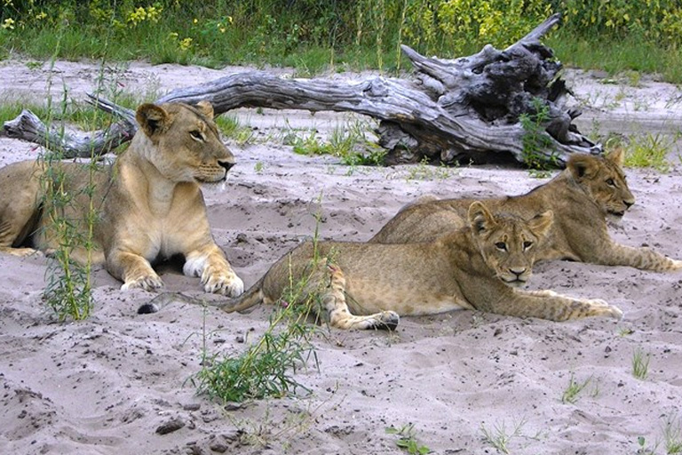 Chobe NP, Botswana