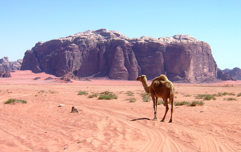 Wadi Rum, Jordan